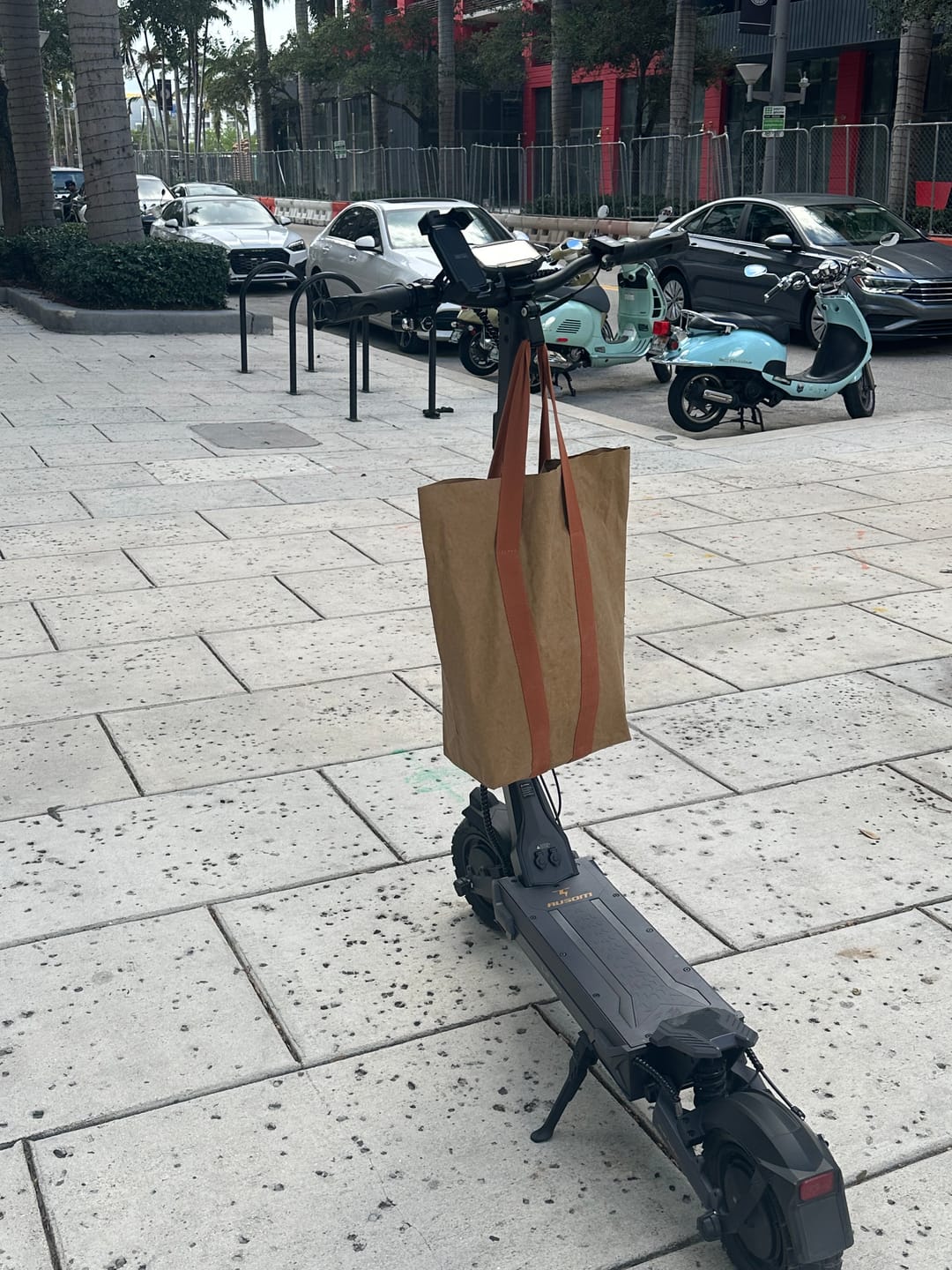 Customer photo review of Ausom L2 Max Single/Dual Motor Electric Scooter