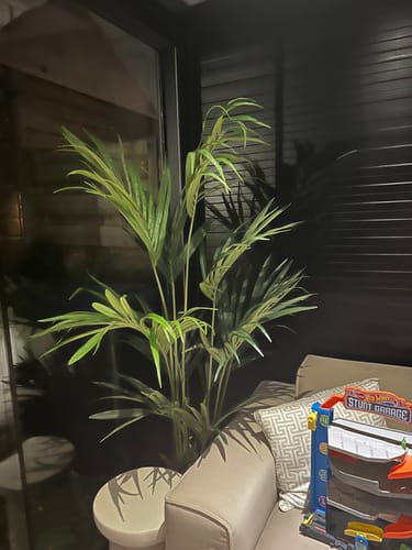 Customer photo review of Kentia Kunstpalm 180cm