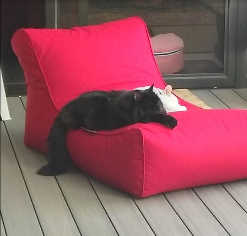 Customer photo review of Studio Lounger - Outdoor/Interior