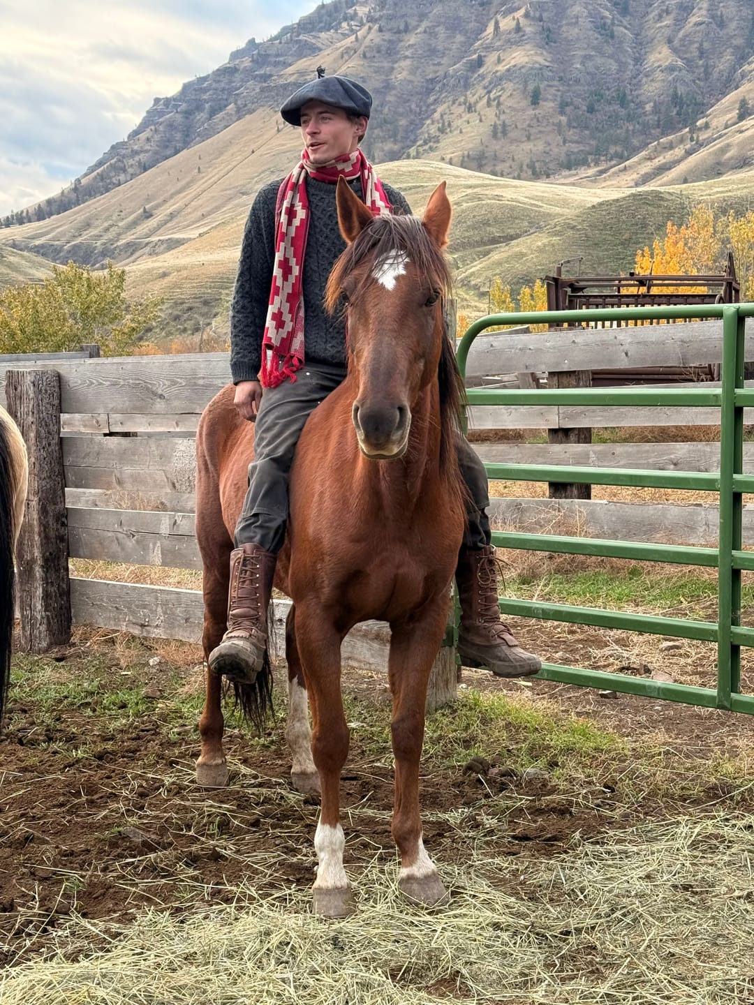 Customer photo review of Guarda Pampa Knitted Scarf