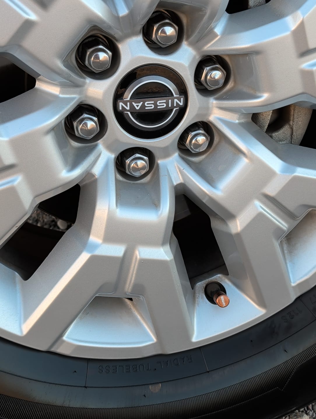 Customer photo review of 80Eighty® Bronze Valve Stem Caps