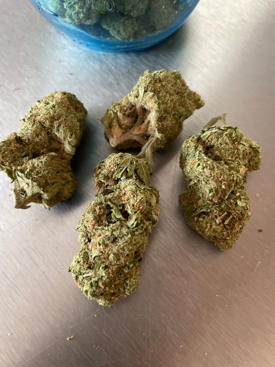Customer photo review of Gush Mintz Light Assist THCA