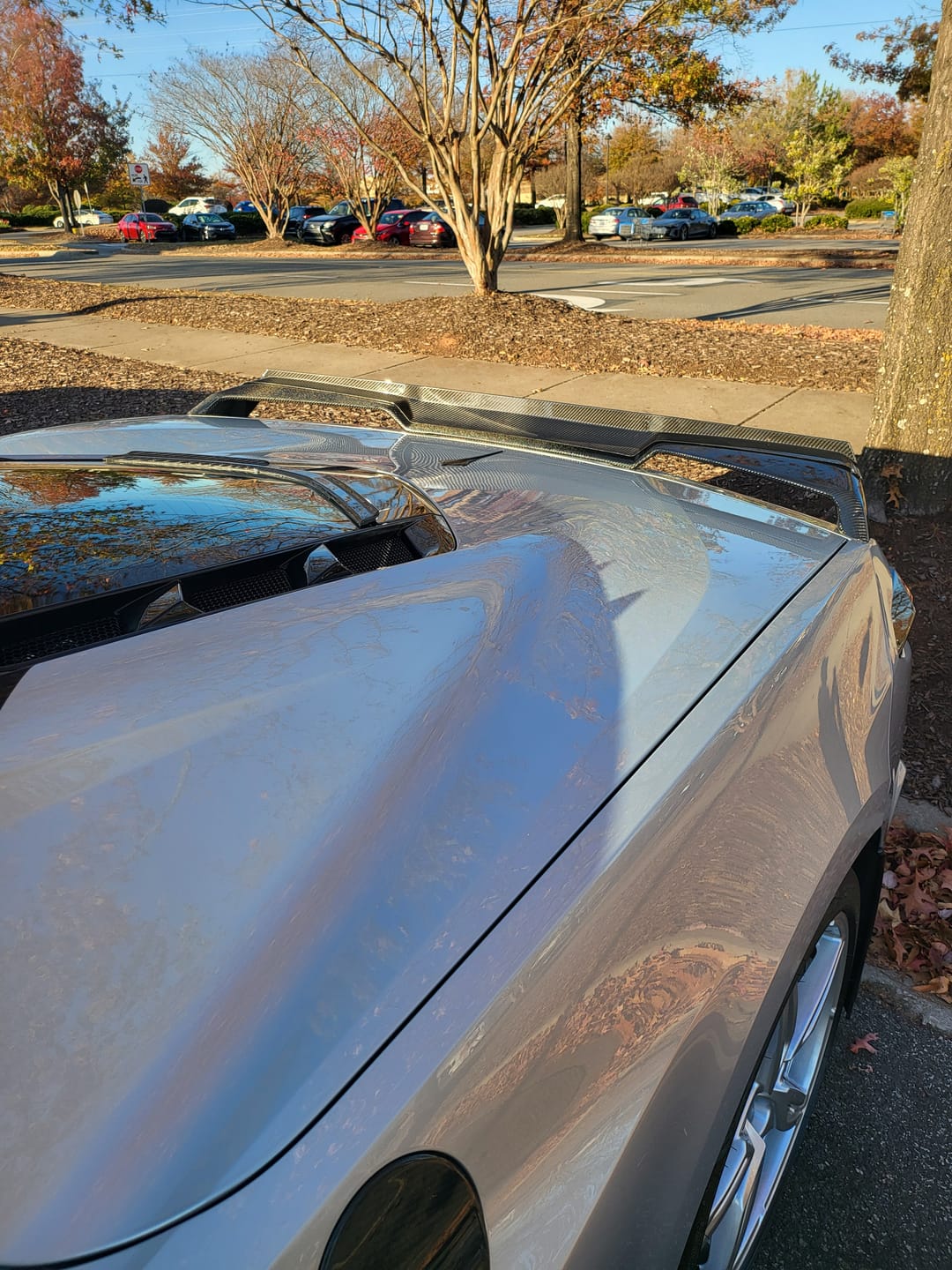 Customer photo review of Chevrolet Corvette C8 Rear Window Hatch Deck Lid Spoiler
