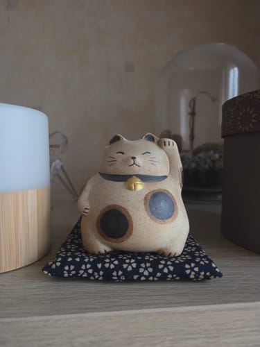 Customer photo review of Maneki Neko Tirelire Banko-Yaki