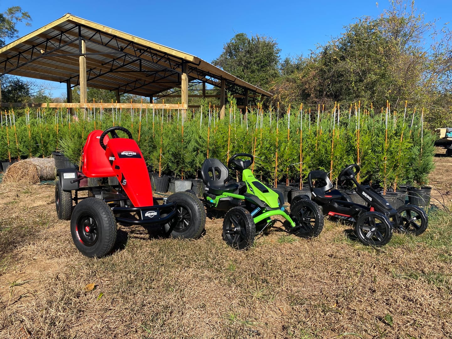 Customer photo review of BERG B.Super Red