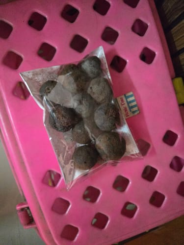 Customer photo review of Pure Rudraksha Fruits – Blessed by Nature, Cherished by Devotion