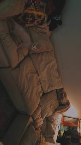 Customer photo review of R4 Sectional Sofa