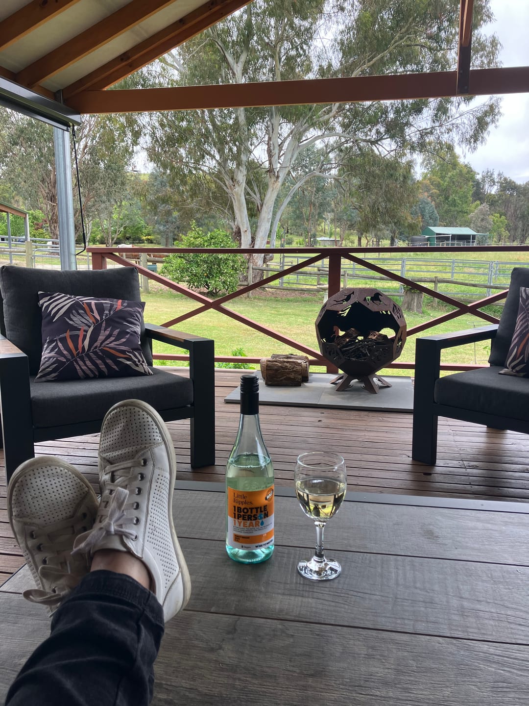 Customer photo review of Low Alcohol Pinot Grigio - 6pk