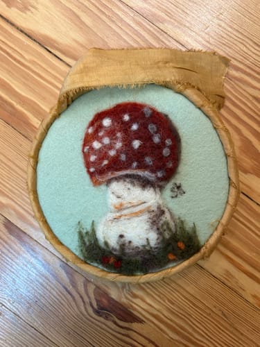 Sandra K. review of Sophie Wheatley's Felted Fungi Supplies Box image 1 out of 2
