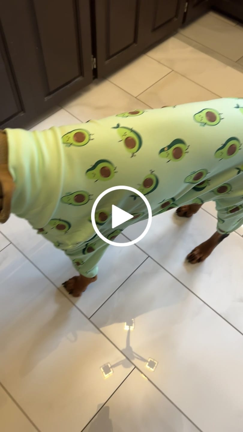 Customer video review of Dog Pajama - Avocado