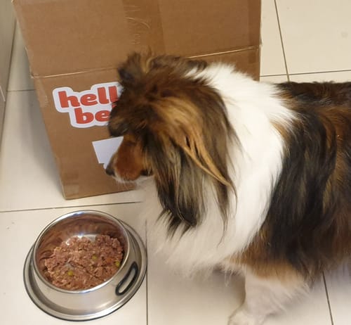 Customer photo review of Frischfutter für Energiebedarf von 163 kCal/Tag