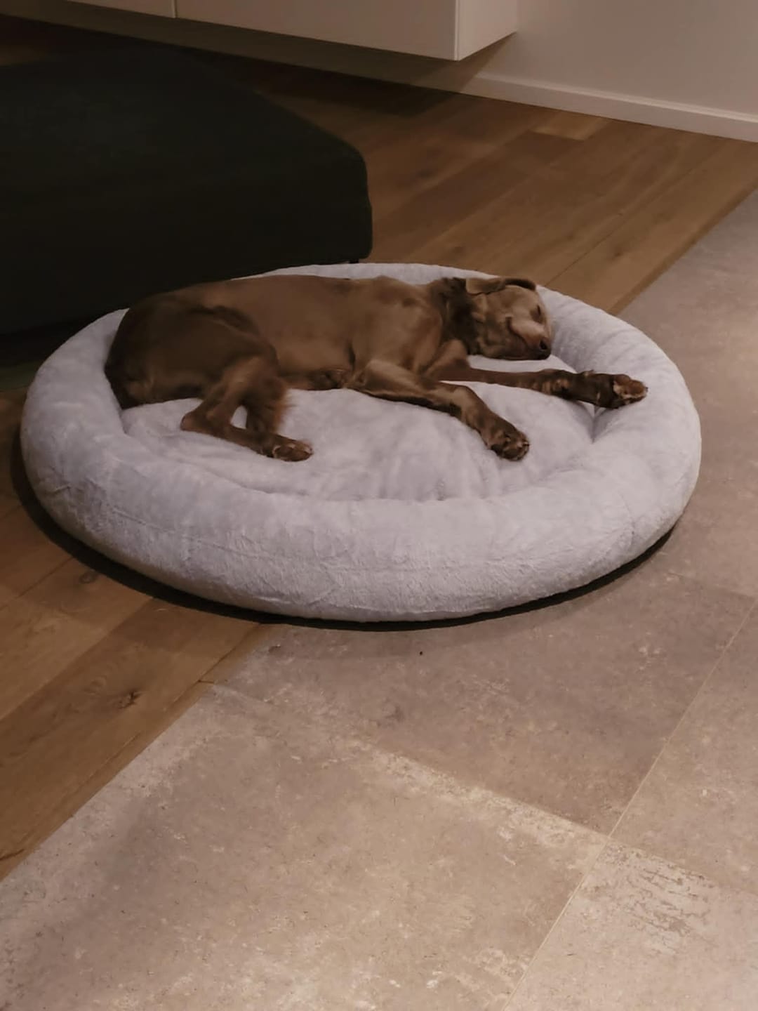 Customer photo review of Pet Perfect Hoes (ZONDER VULLING) voor Orthopedische Donutmand - ZONDER VULLING