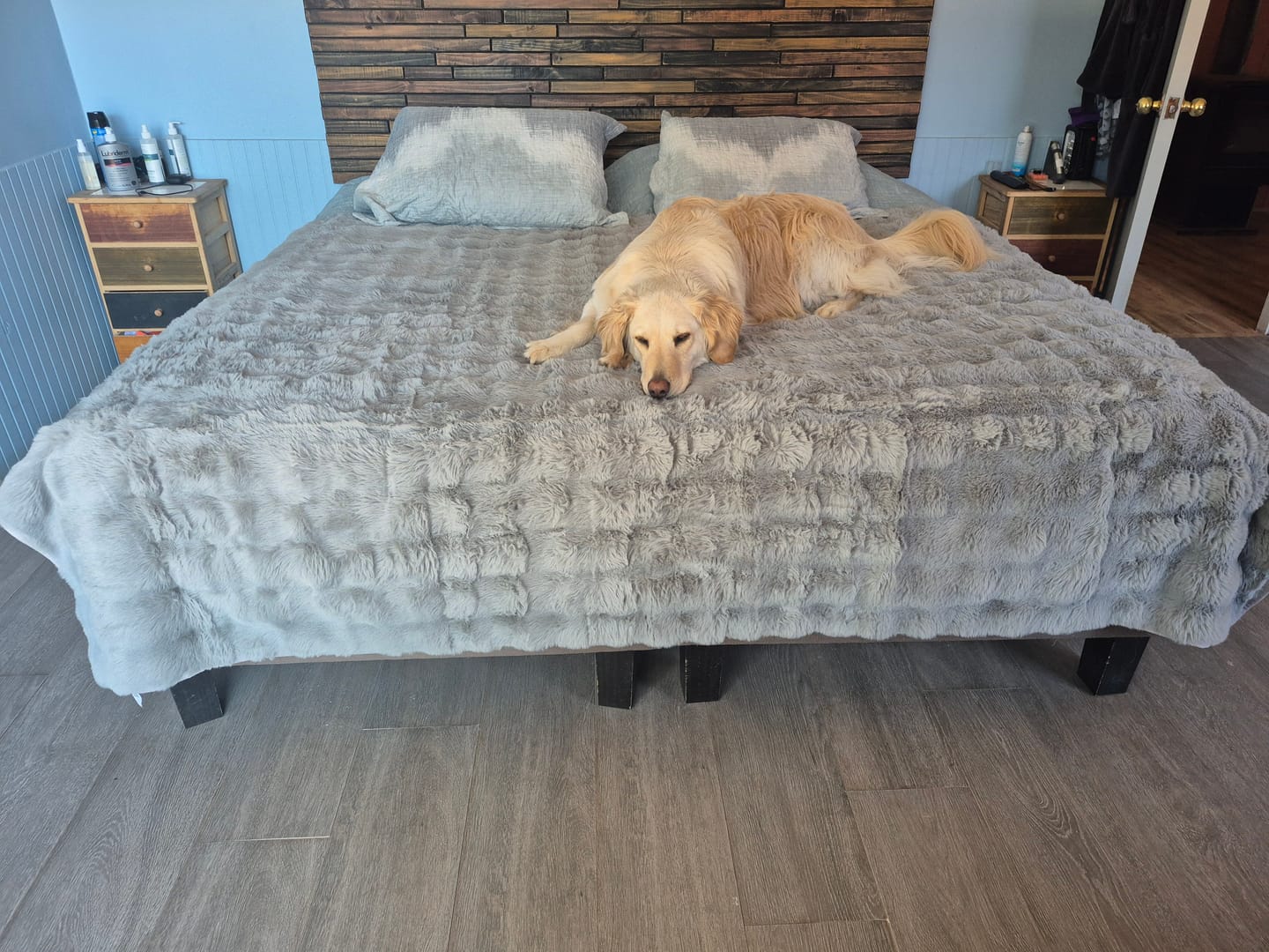 Customer photo review of Cubre Sofá Piel de Conejo — Lujo suave que protege tu sofá