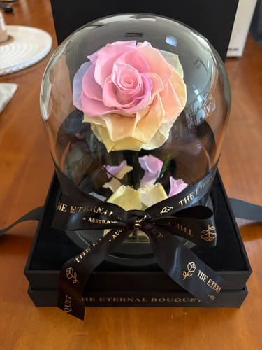 Cassandra B. review of The Enchanted Mini - Rainbow image 1 out of 1