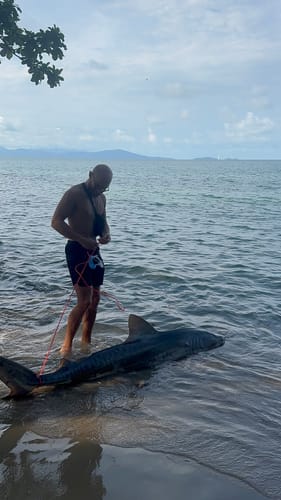 Customer photo review of Aeroo Pro Combo