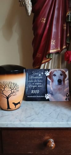 Customer photo review of Katzen Gedenktafel mit Foto & Spruch (UV- & Wetterfest)