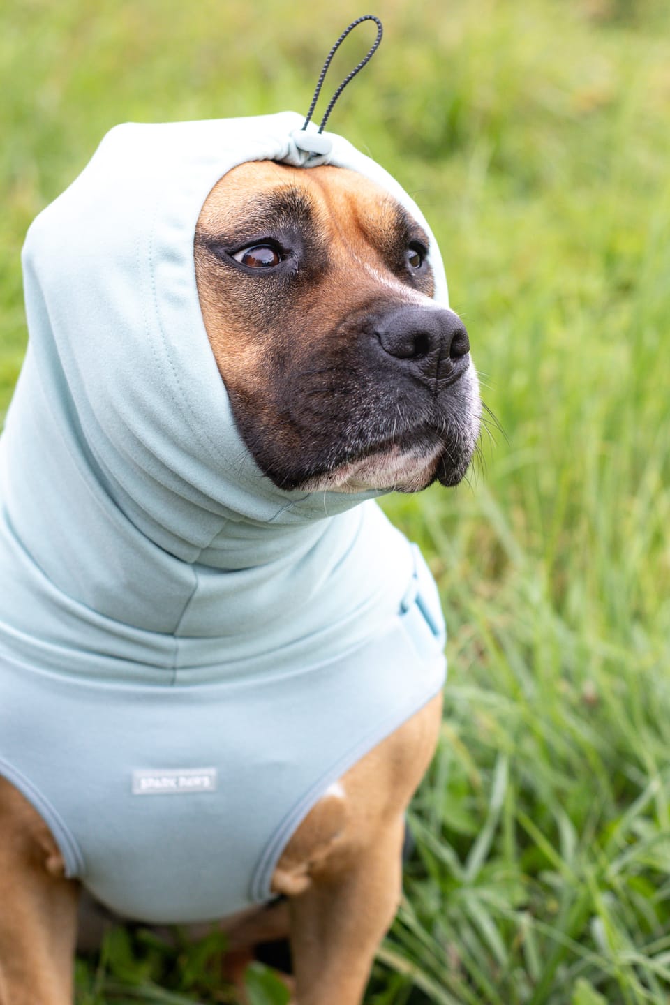 Customer photo review of Anxiety Calming Suit - Teal