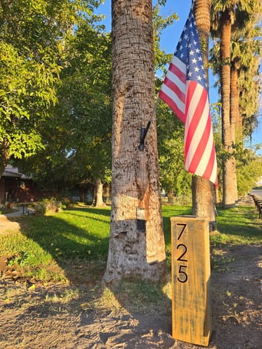 Customer photo review of Address Column