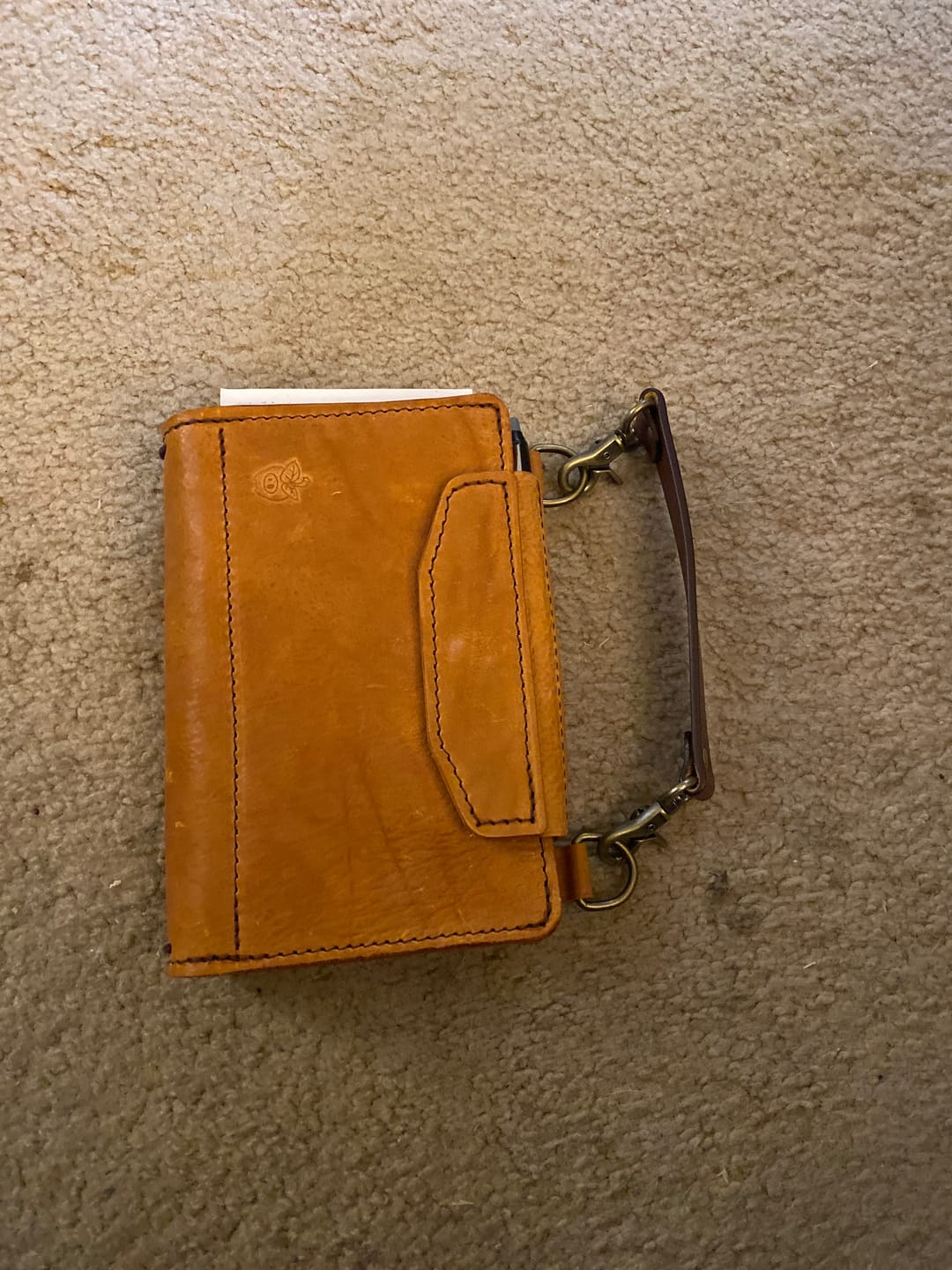 Customer photo review of ApplePig Try Bag book