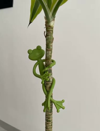 Customer photo review of Mamie-Frog® - Tuteur décoratif