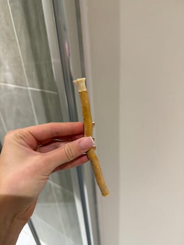Customer photo review of Toothbrush Stick, Miswak, Chewing Stick Natural Dental Care