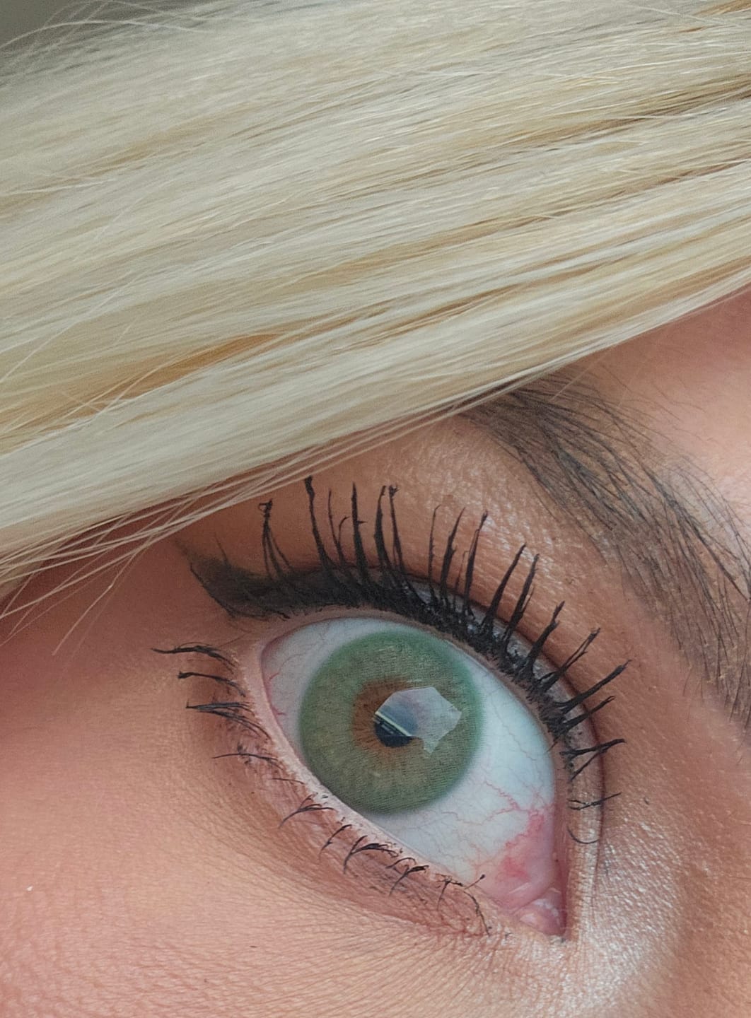 Customer photo review of Cloud Green