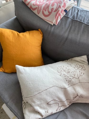 Customer photo review of Baked Clay Linen Cushion Cover