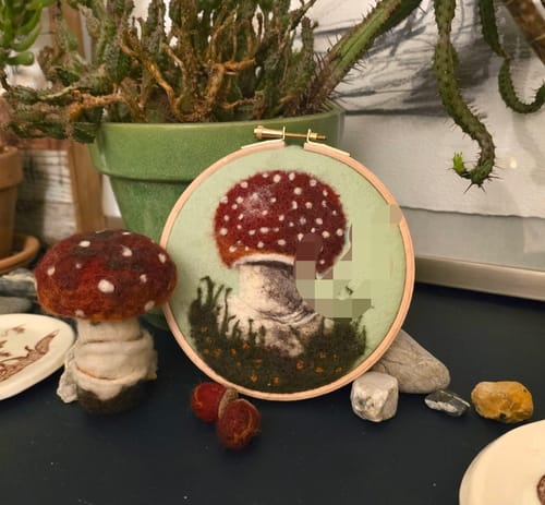 Customer photo review of Sophie Wheatley's Felted Fungi Supplies Box
