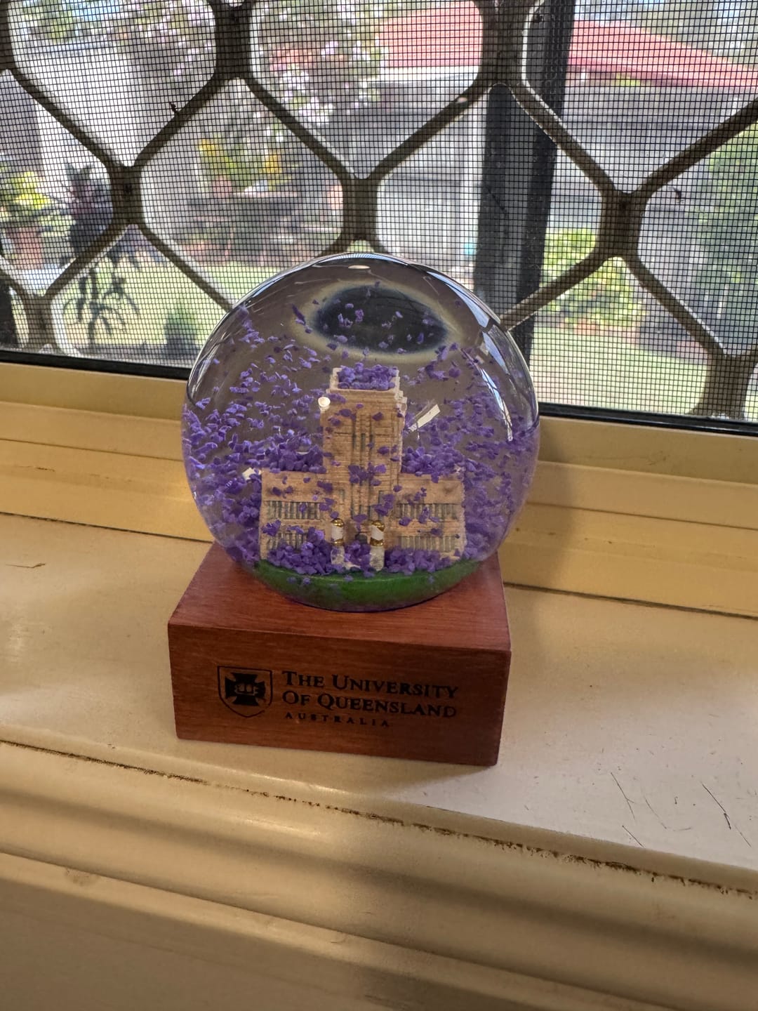 Customer photo review of UQ Jacaranda Globe