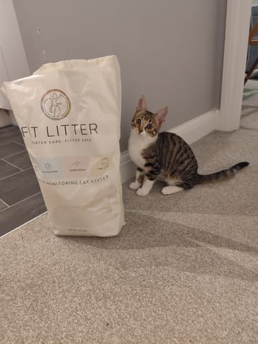 Customer photo review of 1 Month Supply – 1 Cat