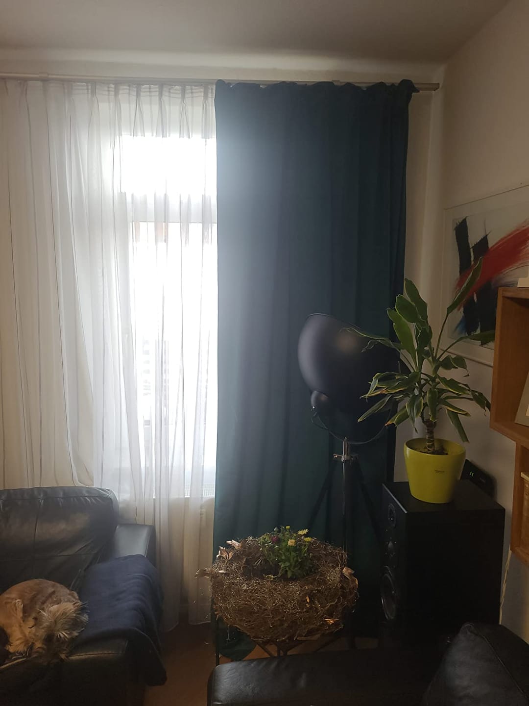 Customer photo review of Samt-Vorhang nach Maß · Milano