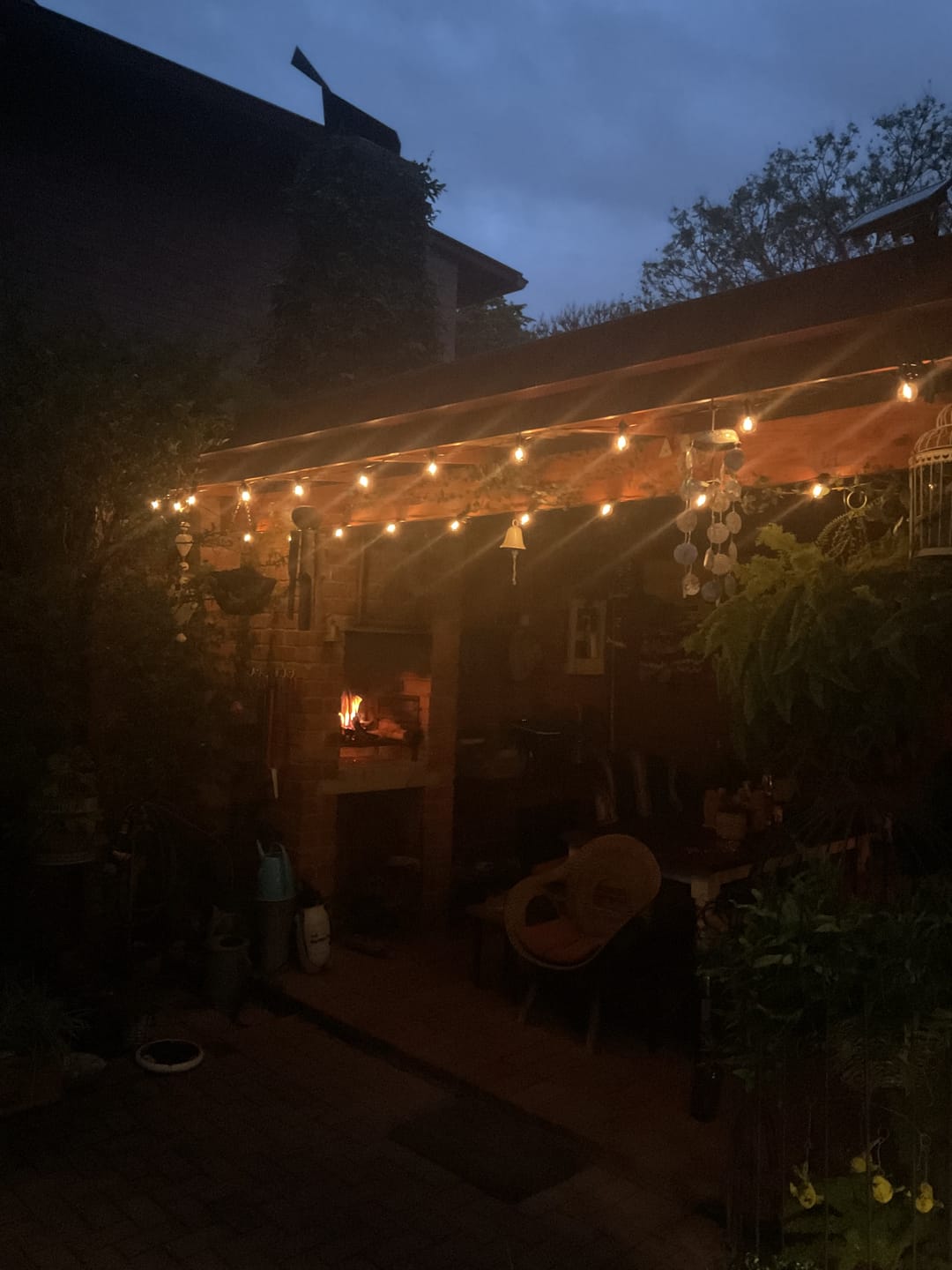 Customer photo review of Solar Mini Bulb String Lights