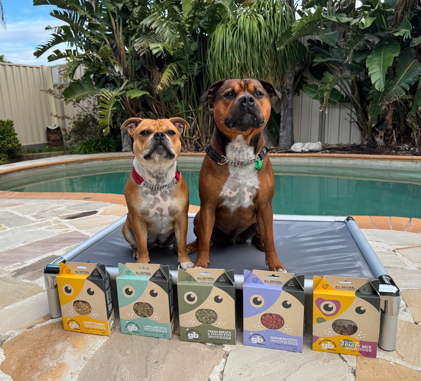 Customer photo review of 5 Flavour Explorer Box