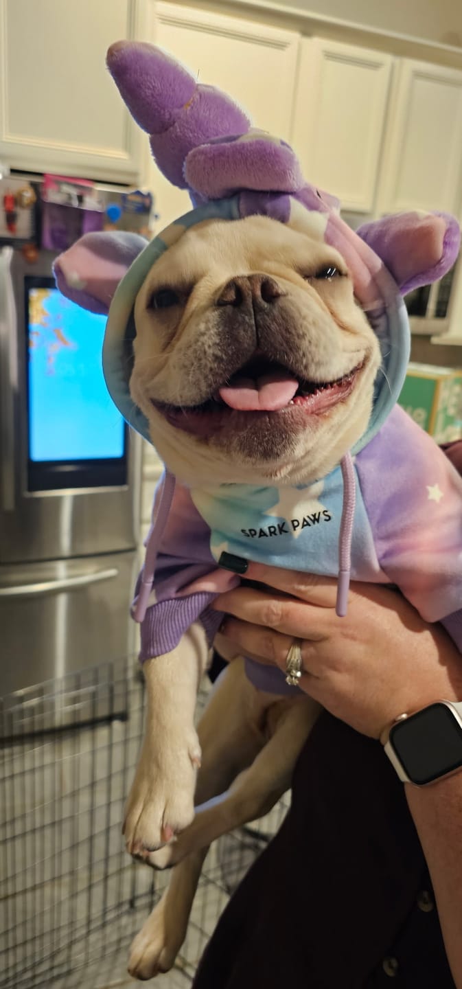 Customer photo review of Halloween Dog Hoodies (Limited Edition)