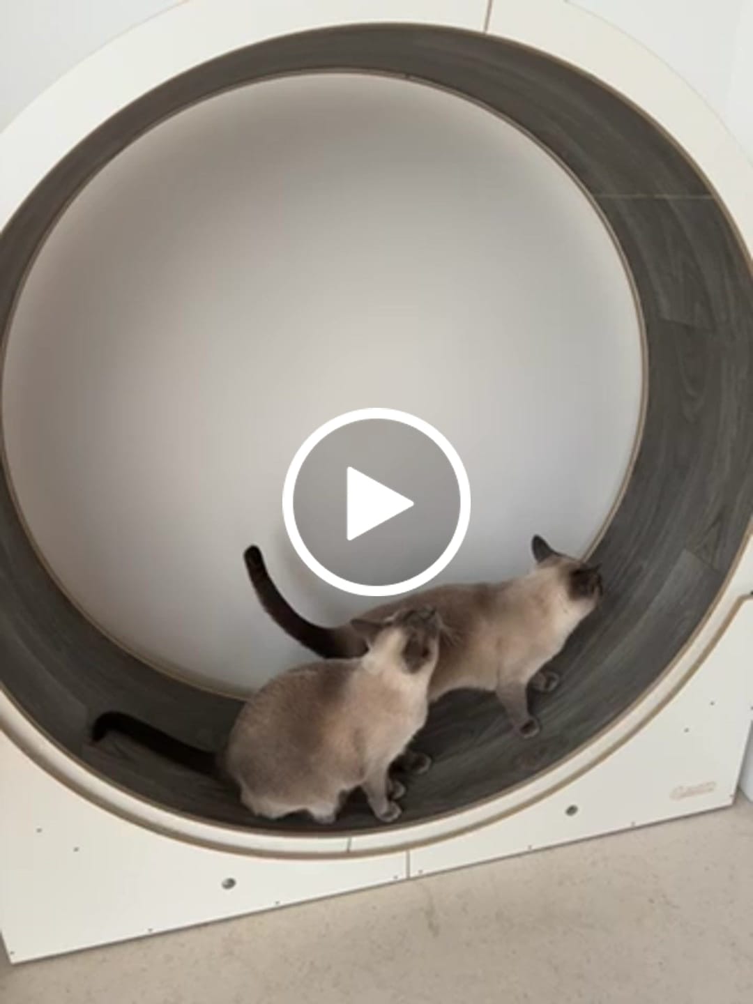 Customer video review of Elmato Katzenlaufrad Ersatztbelag Teppich & Vinyl 10759