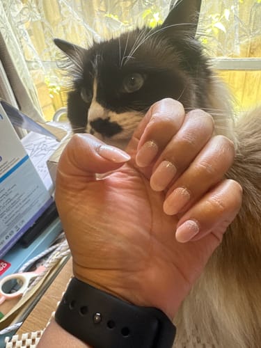 Customer photo review of Ball Gown | Jellies DIY Soft Semi Cured Gel Nail Wraps