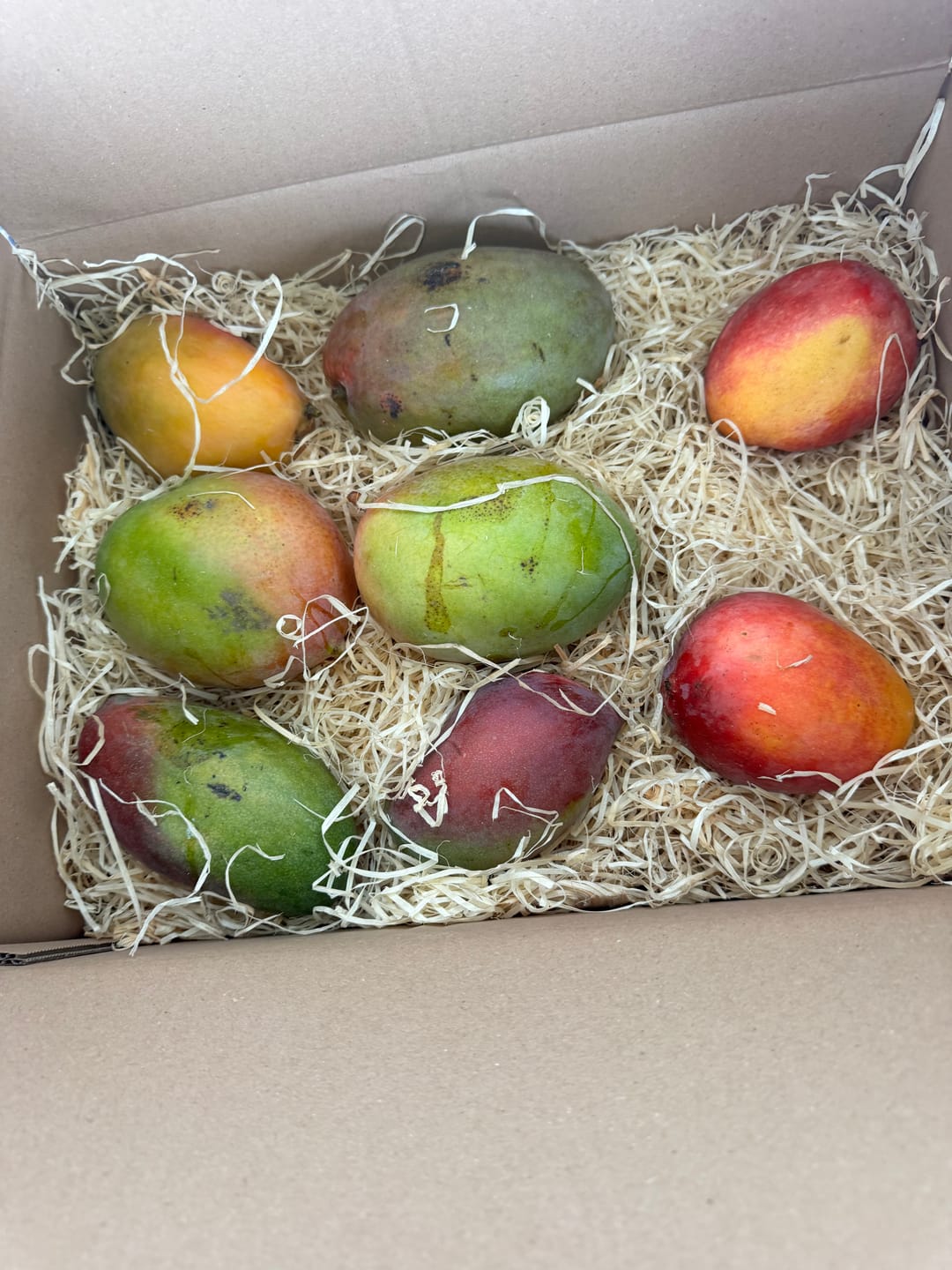 Customer photo review of Mango-Späternte Mix von Julian Sparpreis %