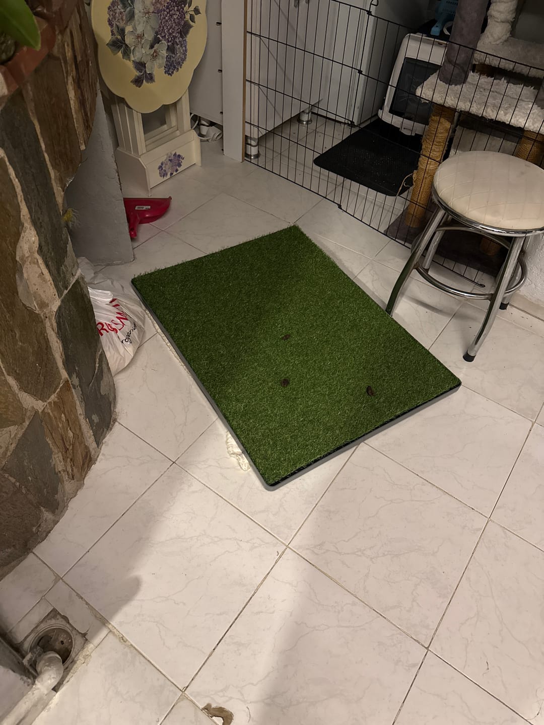Customer photo review of GreenPee™ Yedek Çim – Akıllı Çim Tuvalet İçin Tek Yedek Parça