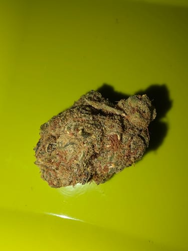 Customer photo review of Super Silver Haze