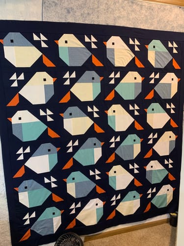Customer photo review of Sparrows Bee Basics Pre-Cut Quilt Kit Featuring Riley Blake Bee Basics fabric