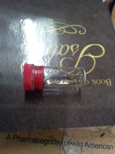Customer photo review of FREE Gift MUSEUM SPECIMEN Gold Nugget Bag