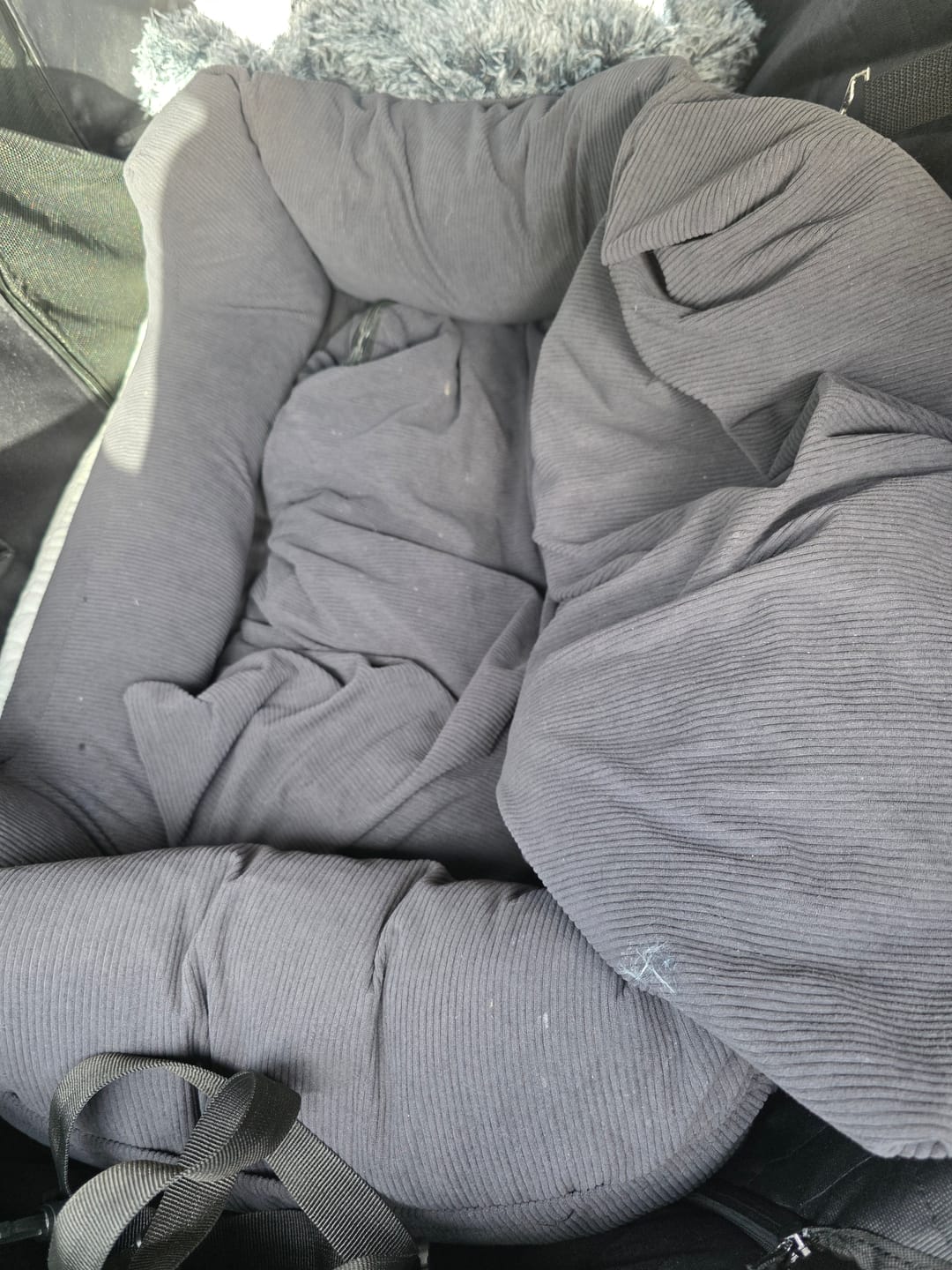 Customer photo review of Dog Car Booster Seat