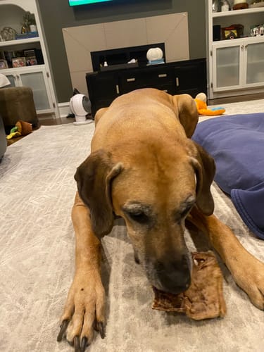 Customer photo review of USA Beef Lung Filets