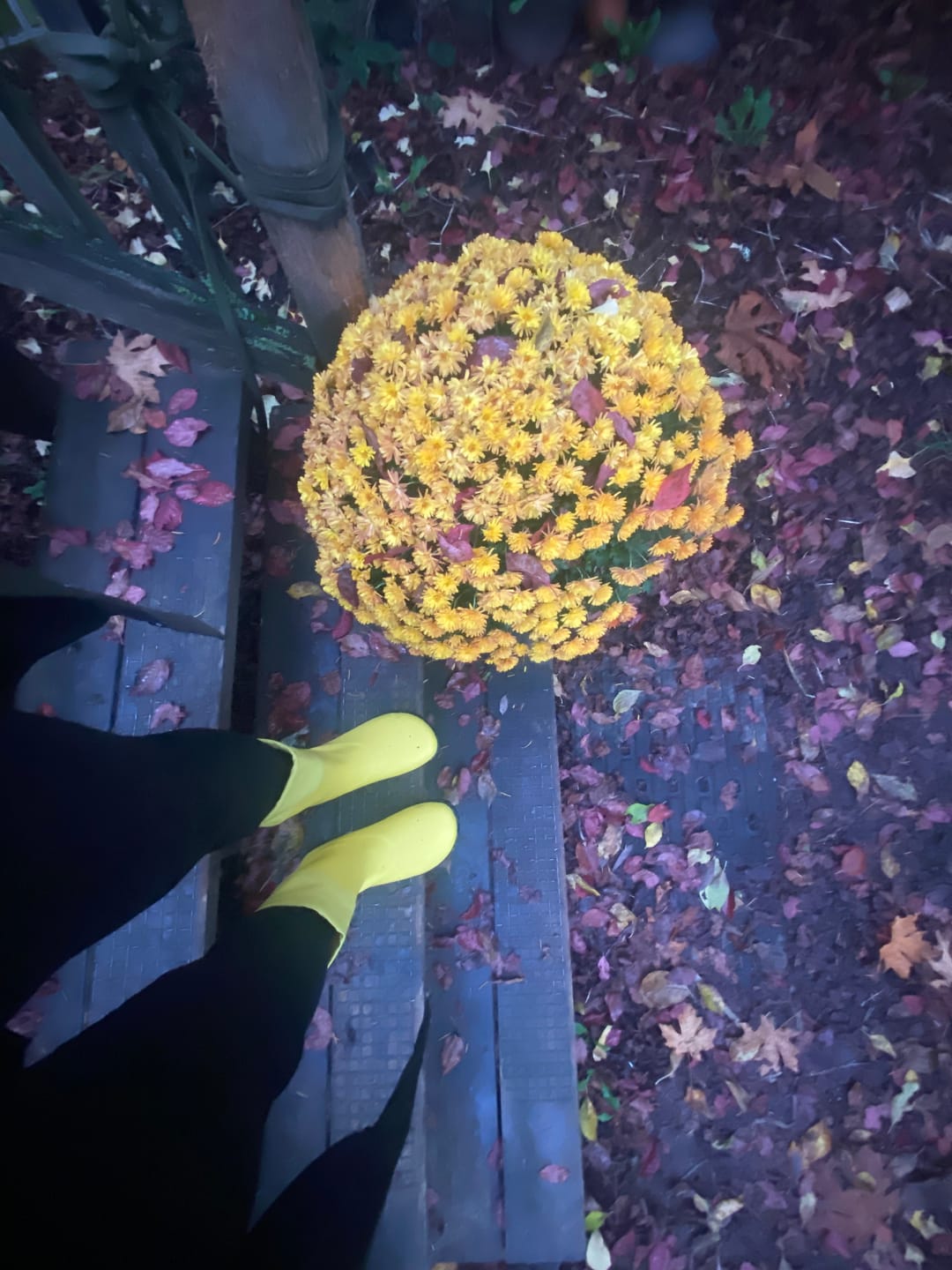 Customer photo review of Brisk Ⅰ - Barefoot Rain Boots