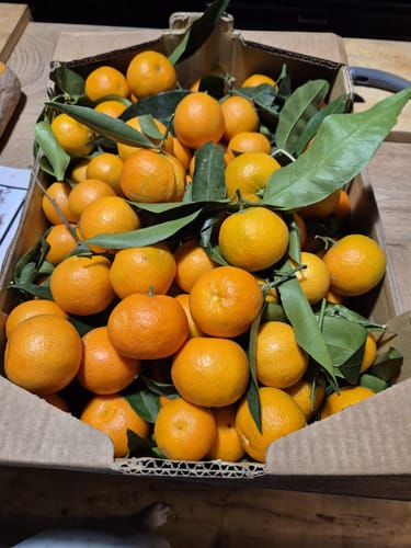 Nadia K. review of Clémentines Bio - Origine Corse image 1 out of 1