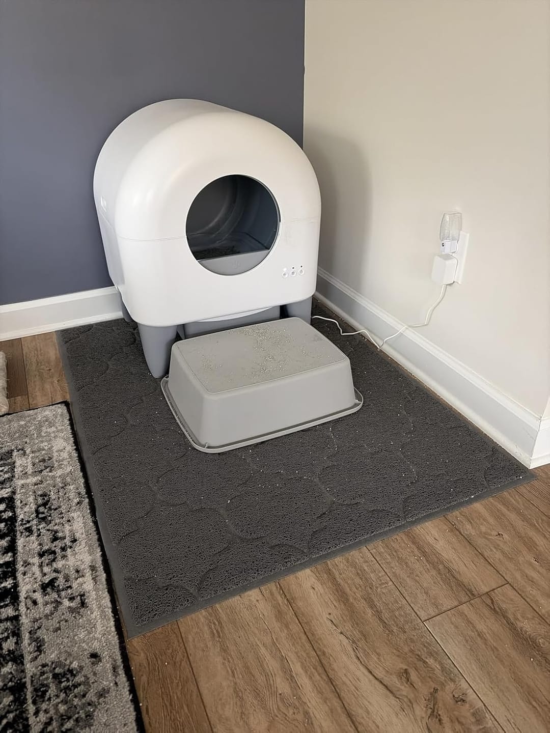 Customer photo review of Cumrige M4 Self-Cleaning Litter Box | Smart Odor-Control Automatic Cat Litter Box