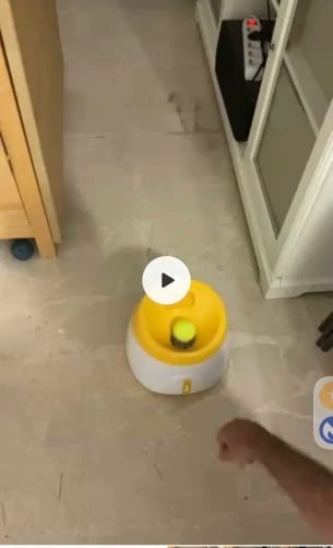 Customer photo review of Jirah Automatic Dog Ball Launcher™
