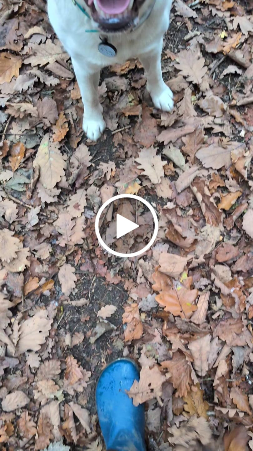 Customer video review of Brisk Ⅰ - Barefoot Rain Boots