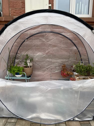 Customer photo review of Überwinterungszelt Arctic ThermoPLUS für Pflanzen L 186 x B 84 x H 175 cm
