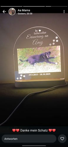 Customer photo review of Zur liebevollen Erinnerung – LED-Lampe für Hund/Katze